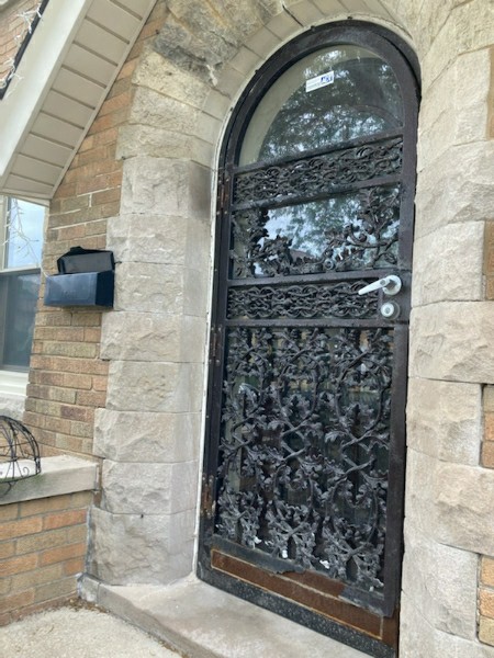 Woodgrain Steel Entry Door Chicago
